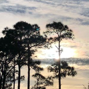 Meet your Posher, Anora